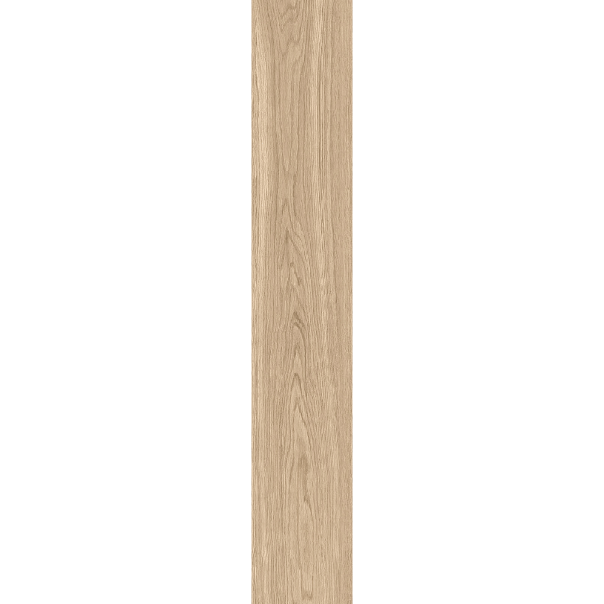 Ragno Rettificato 20x120 "Woodsoft" Beige Chiaro - Dabicasa
