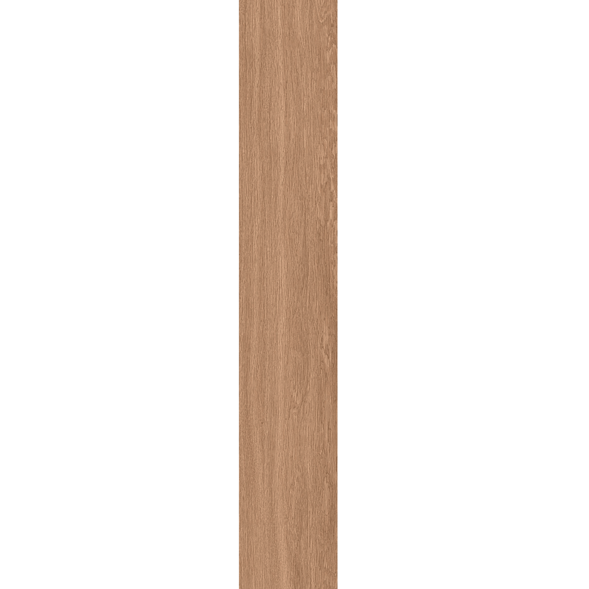 Ragno Rettificato 20x120 "Woodsoft" Beige Scuro - Dabicasa