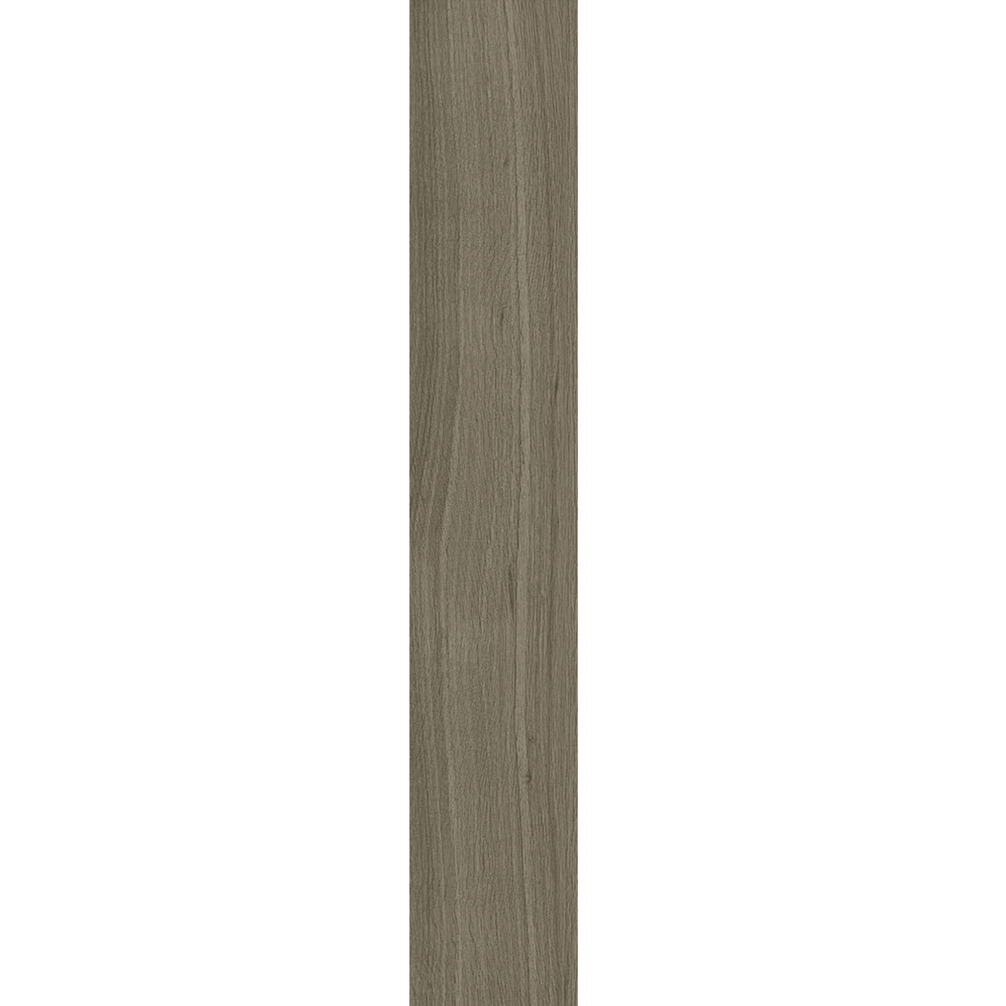 Ragno Rettificato 20x120 "Woodsoft" Tortora - Dabicasa